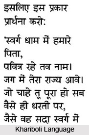 Khariboli, Hindi Language