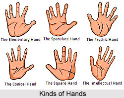 Kinds of Hands, Palmistry
