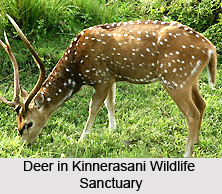 Kinnerasani Wildlife Sanctuary, Andhra Pradesh