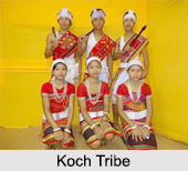 Koch Tribe, Meghalaya, Indian Tribals