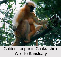 Kokrajhar, Assam