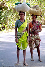 Koli Tribe