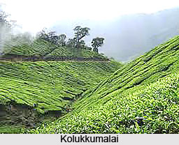 Kolukkumalai, Tamil Nadu