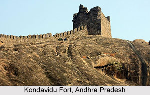 Reddy Dynasty