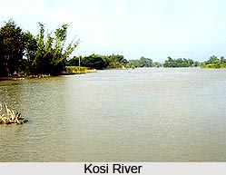 Kosi River