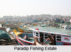 Kujang, Paradip, Odisha