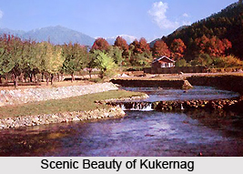 Kukernag, Anatanag, Jammu and Kashmir