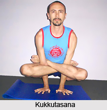 Kukkutasana