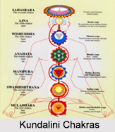 Kundalini Chakras, Yoga