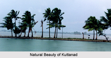 Kuttanad, Kerala