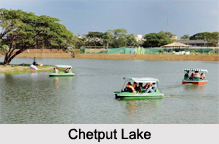 Chetput Lake, Tamil Nadu