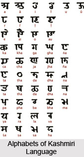 Languages of Kashmir, Kashmir
