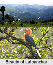 Latpanchar, Darjeeling, West Bengal