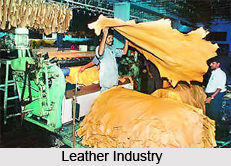 Leather Industry in India