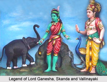 Legend of Lord Ganesha, Skanda and Vallinayaki