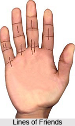 Lines of Friends, Palmistry