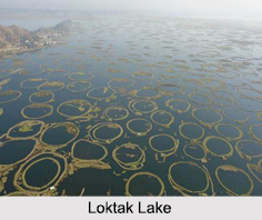 Loktak Lake, Manipur