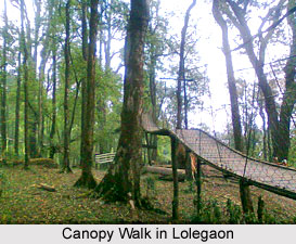 Lolegaon, Darjeeling, West Bengal