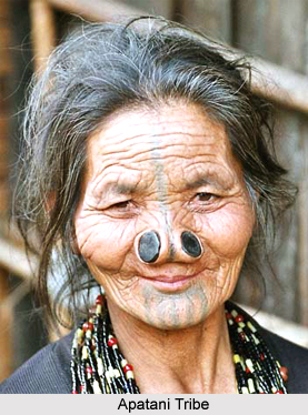 Lower Subansiri District, Arunachal Pradesh
