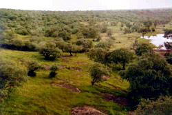 Madhav Shivpuri National Park 