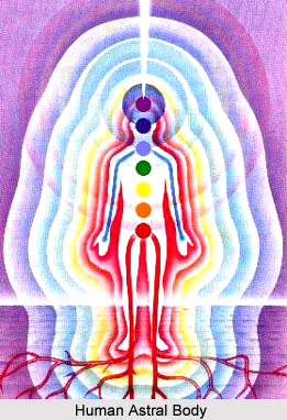 Magnetism in the other Astral Bodies
