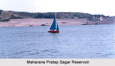 Maharana Pratap Sagar Reservoir, Himachal Pradesh