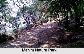 Mahim Nature Park, Maharashtra