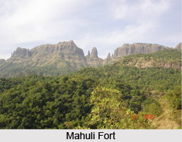 Mahuli Fort, Monument of Maharashtra