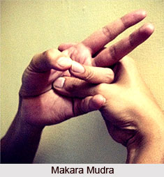 Makara Mudra