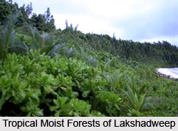Maldives-Lakshadweep-Chagos Archipelago tropical moist forests