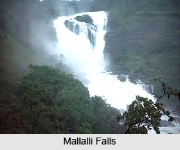 Mallalli Falls, Kodagu District, Karnataka