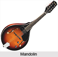 Mandolin, String Instrument