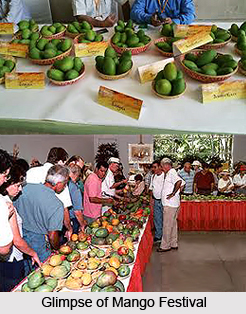 Mango Festival, Indian Festival