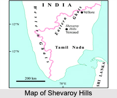 Shevaroy Hills, Tamil Nadu