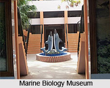 Marine Biology Museum, Tamil Nadu