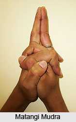 Matangi Mudra