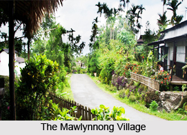 Mawlynnong Village, Meghalaya