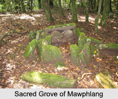Mawphlang, Meghalaya