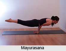 Mayurasana