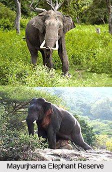 Mayurjharna Elephant Reserve