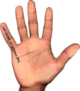 Finger of Mercury, Palmistry