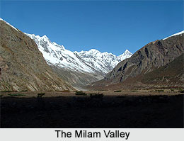 Milam Glacier Nanda Devi