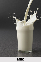 Milk, Indian Food