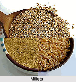 Millets, Indian Food Crop
