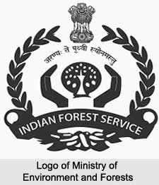 Ministry of Environment and Forests, Indian Ministries