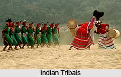 Ministry of Tribal Affairs, Indian Ministries