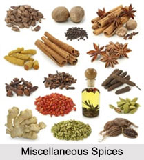 Miscellaneous Spices, Indian Spices