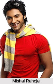 Mishal Raheja, Indian TV Actor
