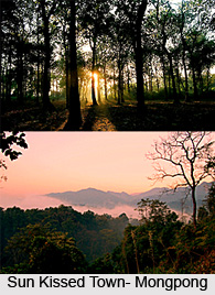 Mongpong, Darjeeling District, West Bengal