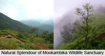Mookambika Wildlife Sanctuary, Udupi District, Karnataka